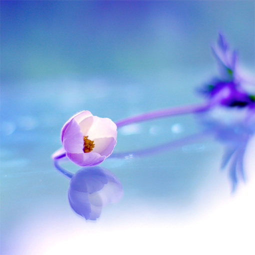 早安心语130415:艰苦岁月,总难长久,坚毅的人总会出头