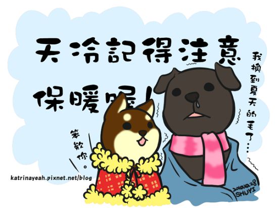 天冷了关心短信,天冷了关心的话