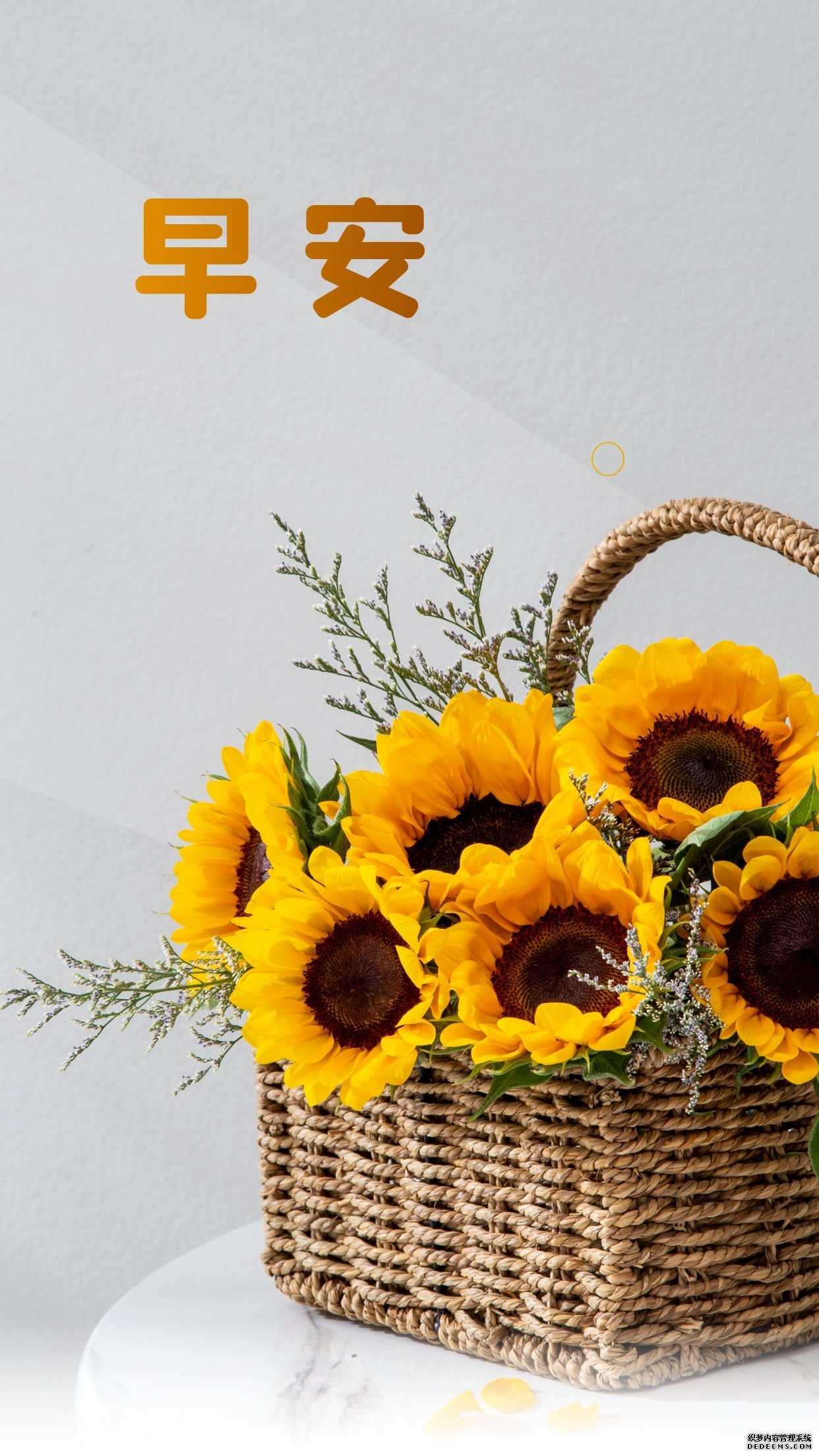 适合发朋友圈的早安正能量图片句子,梦想于心,随时启程!