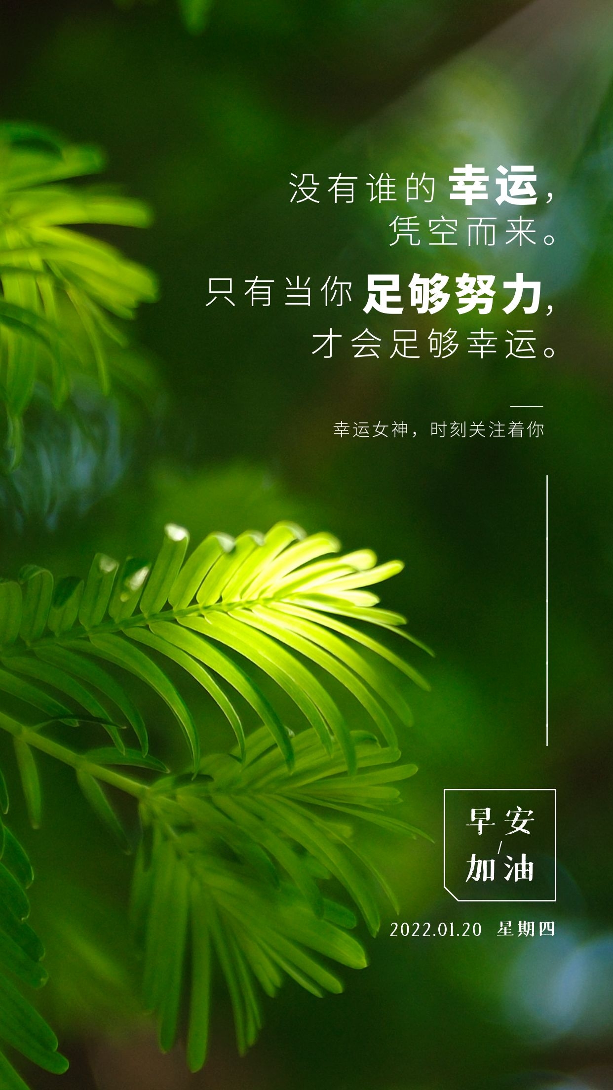 正能量阳光早安心语图片,乘风破浪,逐梦前行