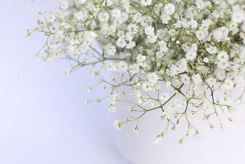 体验思念到极致的感觉文案大全 体验思念到极致的感觉文案大全